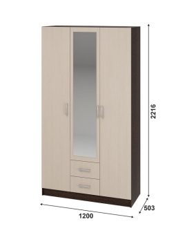 ШК Тениз Шкаф 1200х2200х500 инф