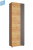 ShK-001(Belij-fon1)